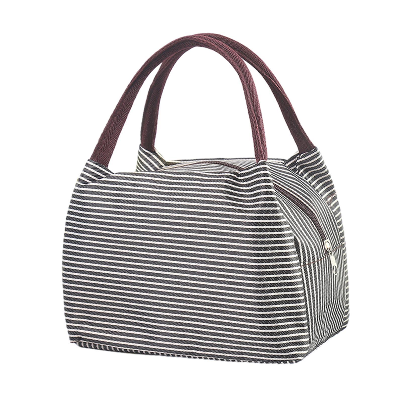 Portable Lunch Lunch Box with Handle Picnic Food Box Bags Large Capacity Lightweight Durable Portable Picnic Tote for Hiking Gym Fishing