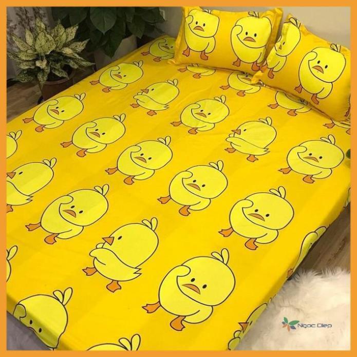 Ga chun bọc đệm kèm 2 vỏ gối poly cotton mẫu gà vàng, drap thun bọc nệm