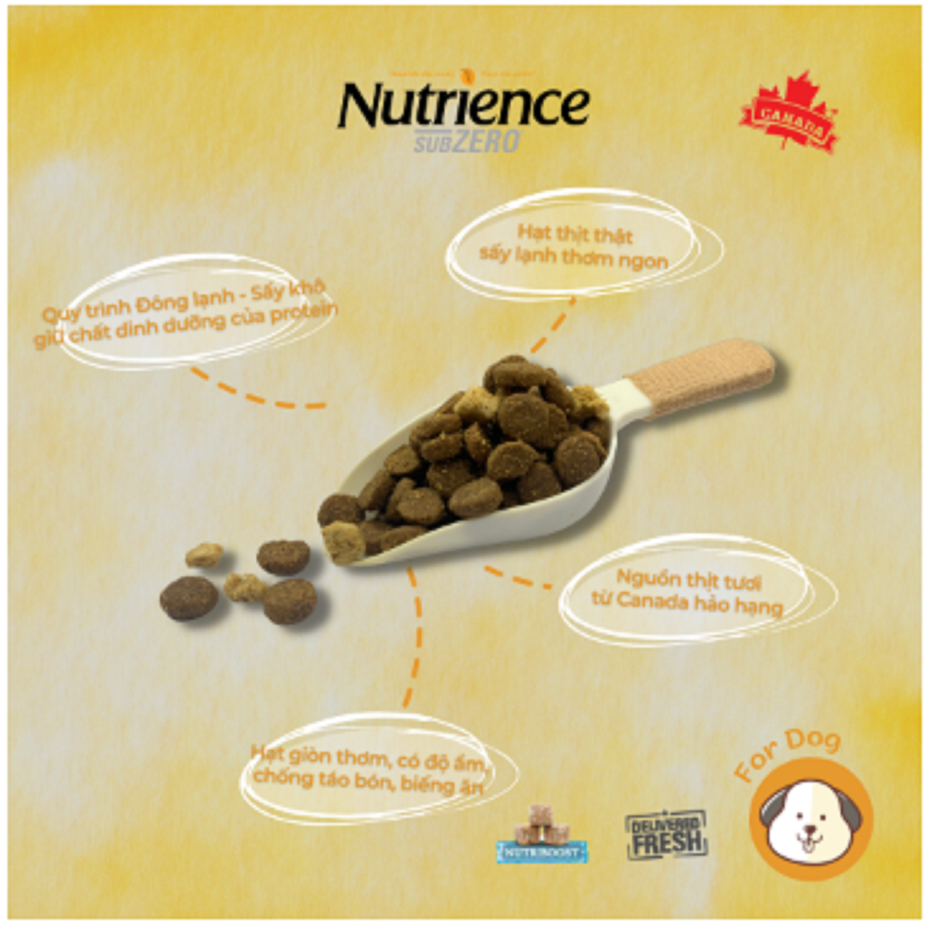 Hạt cho Chó Nutrience Suzero - Gà Tây, Cá Hồi , Cá Trích, Cá Tuyết & Rau Củ Quả Tự Nhiên - 0.5kg