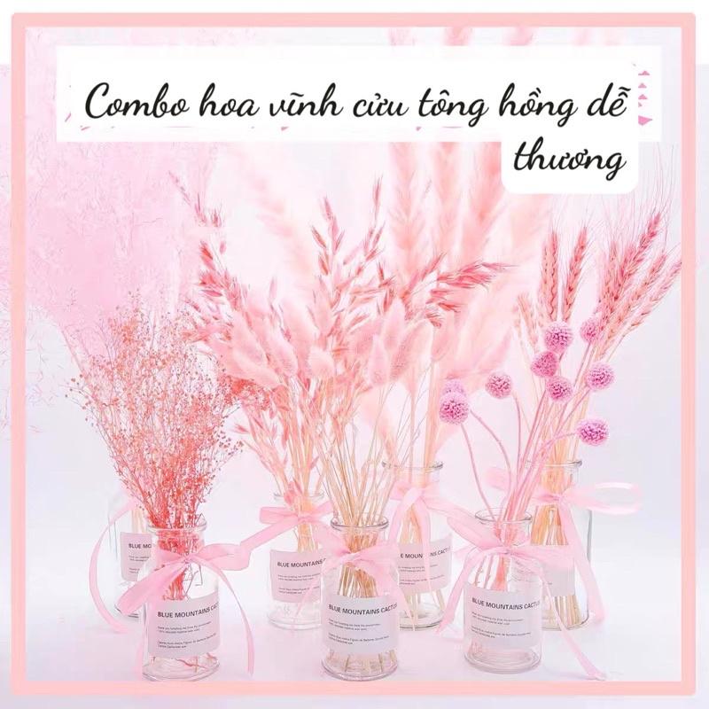 (Combo hoa và lọ có ảnh thật) Hoa khô kèm lọ tặng đèn LED, decor phòng khách,trang trí bàn làm việc, chụp ảnh sản phẩm