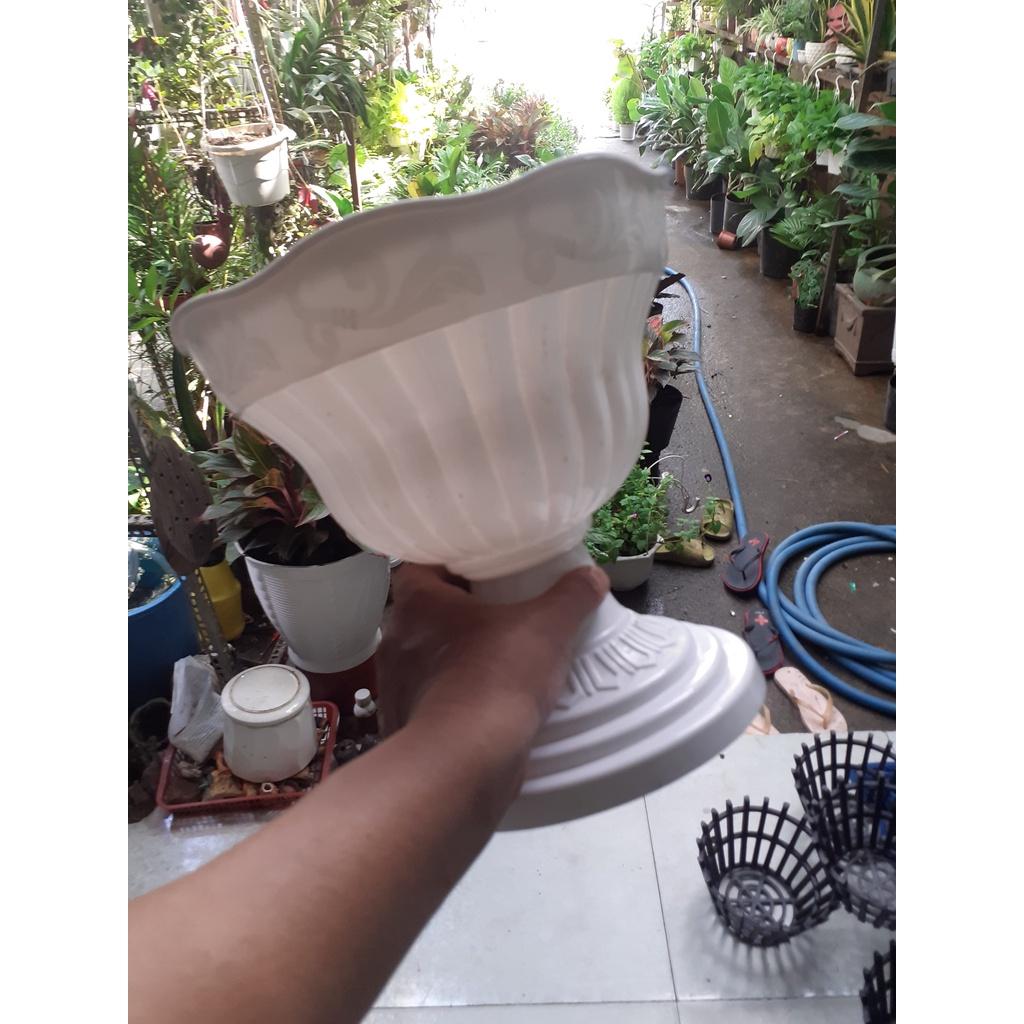 Combo 2 chậu nhựa chân đế hình hoa