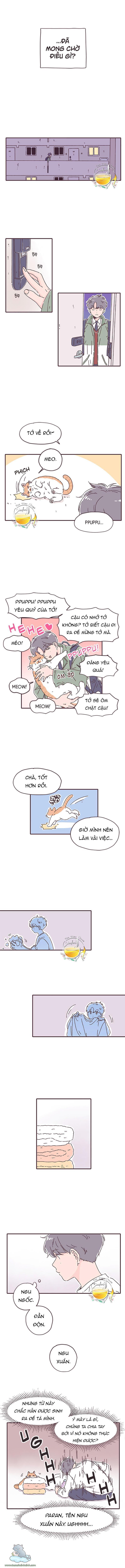 ngày định mệnh của đôi ta chapter 26 9