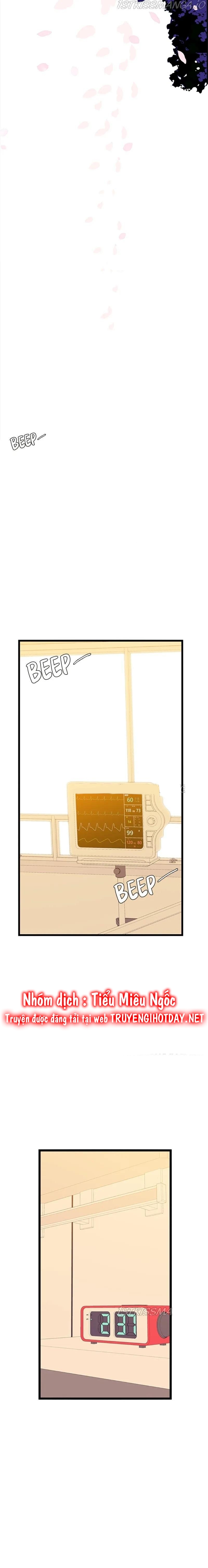 quay lại nhé chapter 108 19