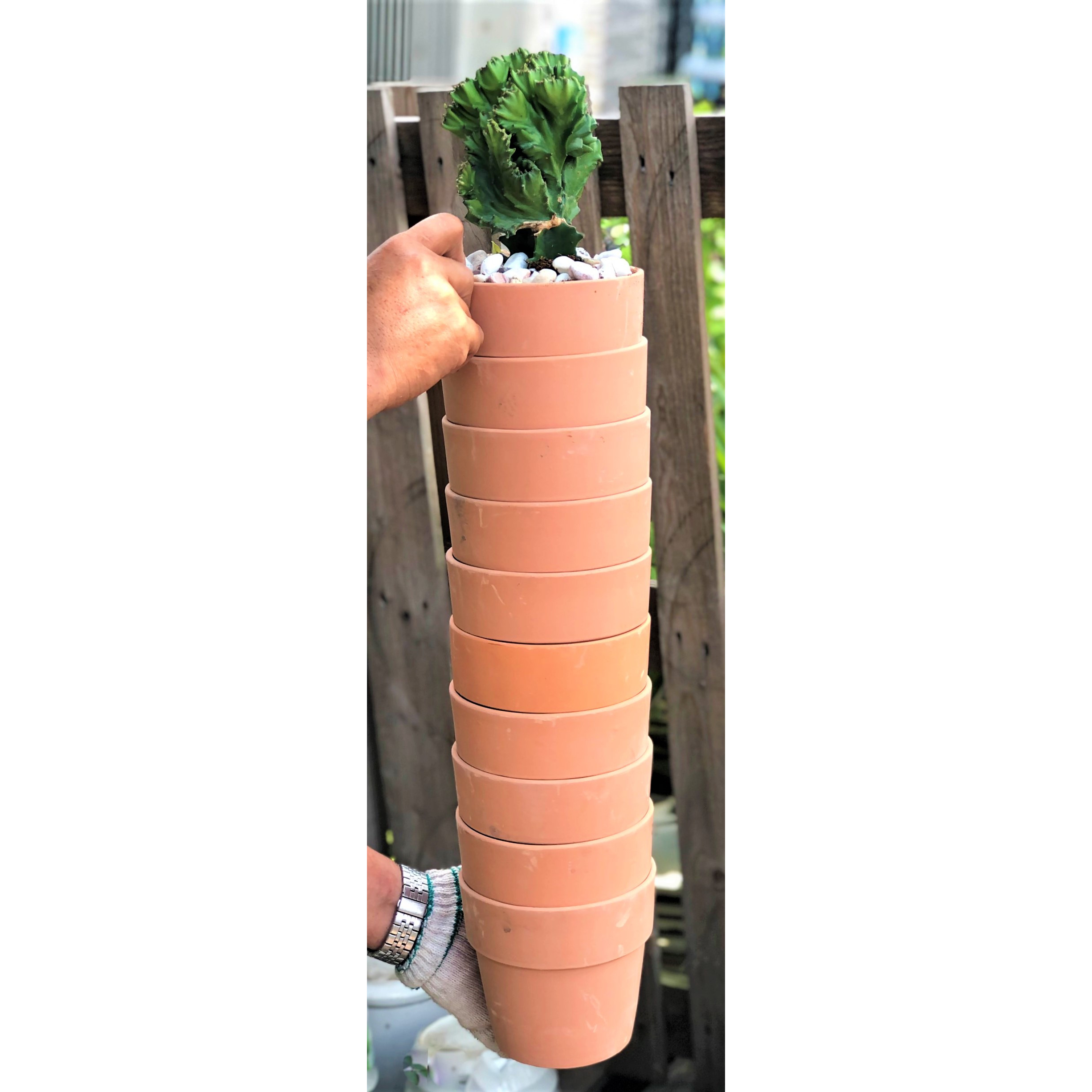 Bộ 10 chậu đất nung trồng xương rồng sen đá Rộng 14 cm x Cao 13 cm