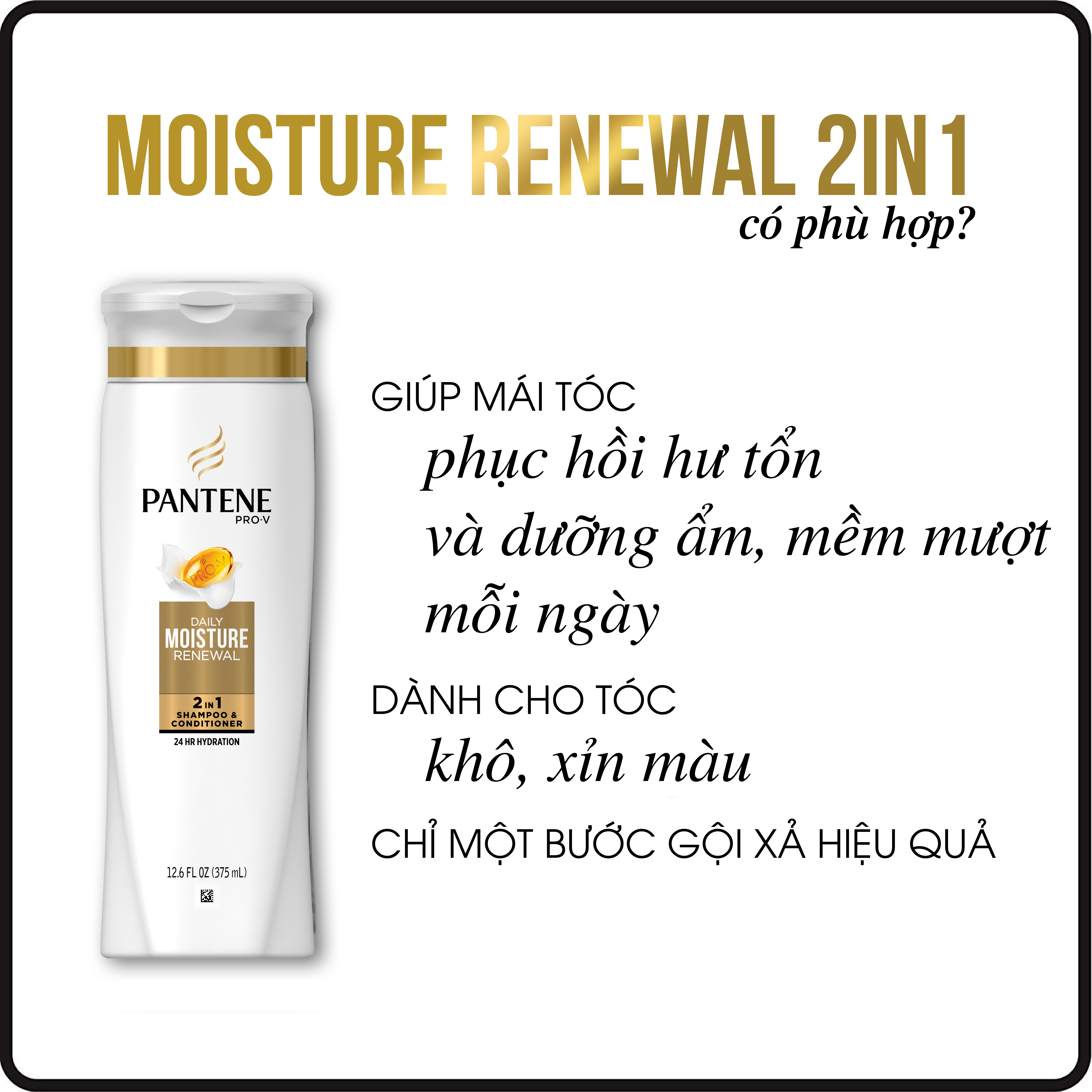 Dầu Gội &amp; Xả Pantene 2IN1 chai 750 ml