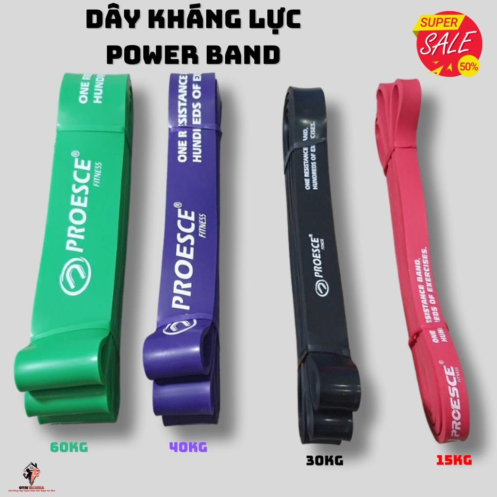 Dây Kháng Lực Tập Gym PROESCE, Dây Kháng Lực Power Band, Dây Kháng Lực Tập Toàn Thân Cao Cấp, Dây Kháng Lực Tập T