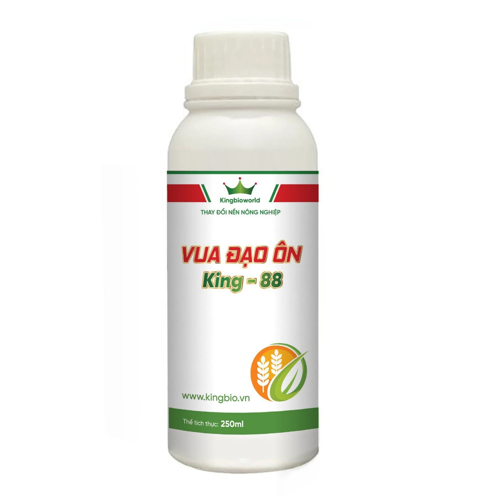 King 88 - vua đạo ôn, phòng trừ và tiêu diệt nấm đạo ôn lá, đạo ôn cổ bông từ sinh học