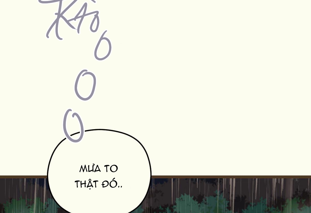 tương phùng chapter 8 162