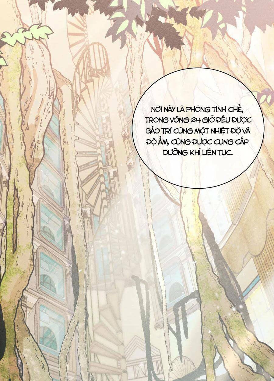 nhật ký nấm ma cô chapter 11 11