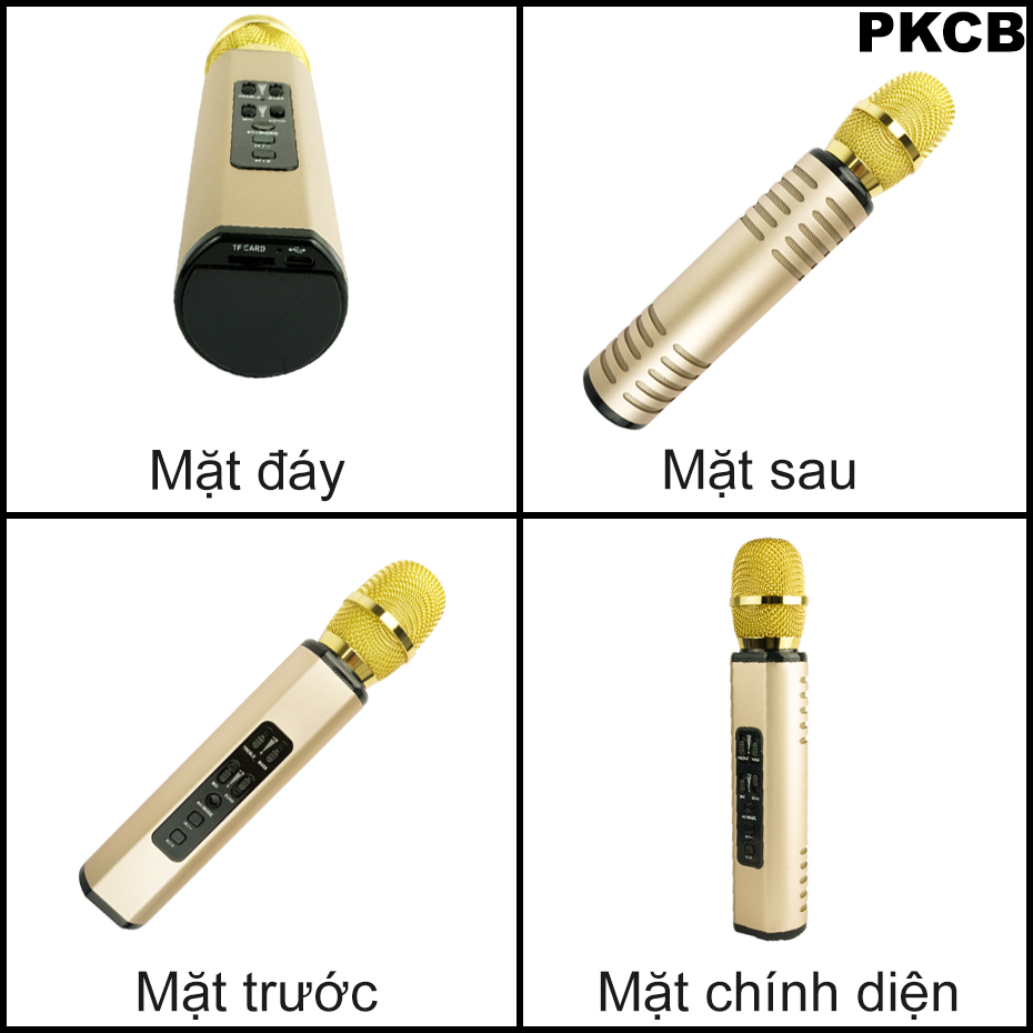 Micro Karaoke Bluetooth cao cấp âm thanh chuẩn HD Bass Treb sống động PKCB14 GOLD - Hàng Chính Hãng