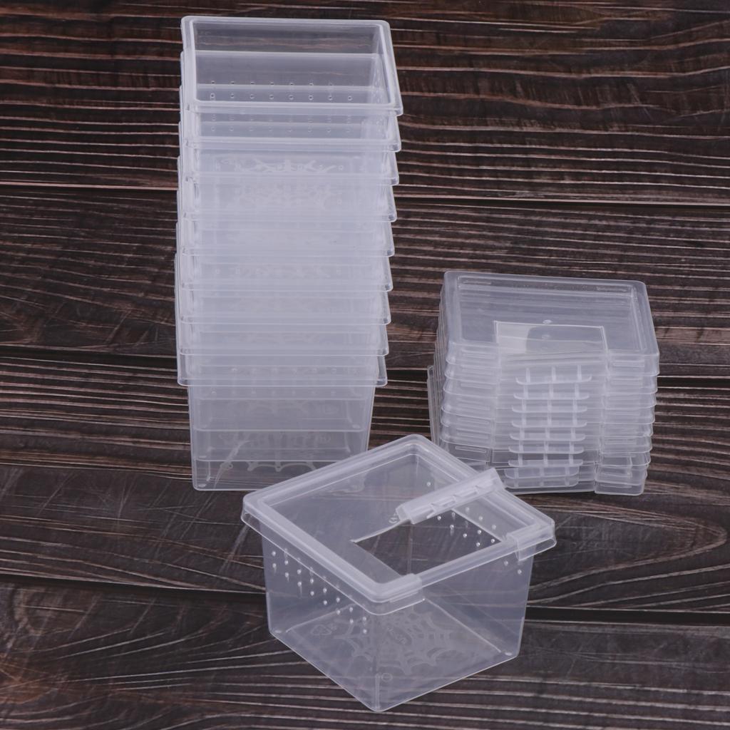 20x Reptile Feeding Container Vivarium Rearing Box for Outing Raise