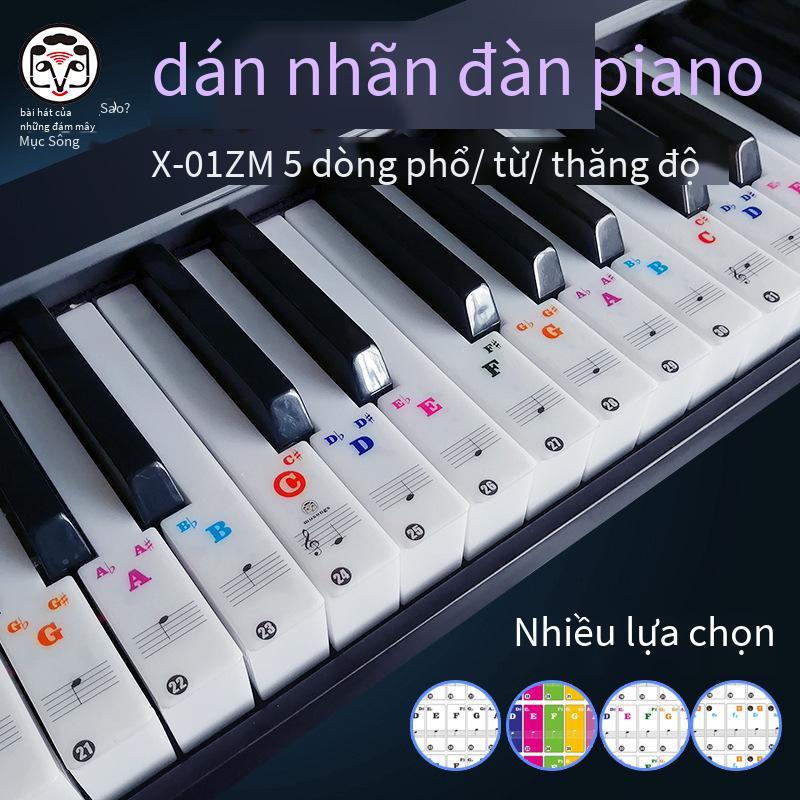 Phong cách mới nhất của đám mây nhạc đàn piano miếng dán đàn organ điện tử 6188 phím trong suốt thang âm nhóm từ miếng dán ghi chú X-01ZM