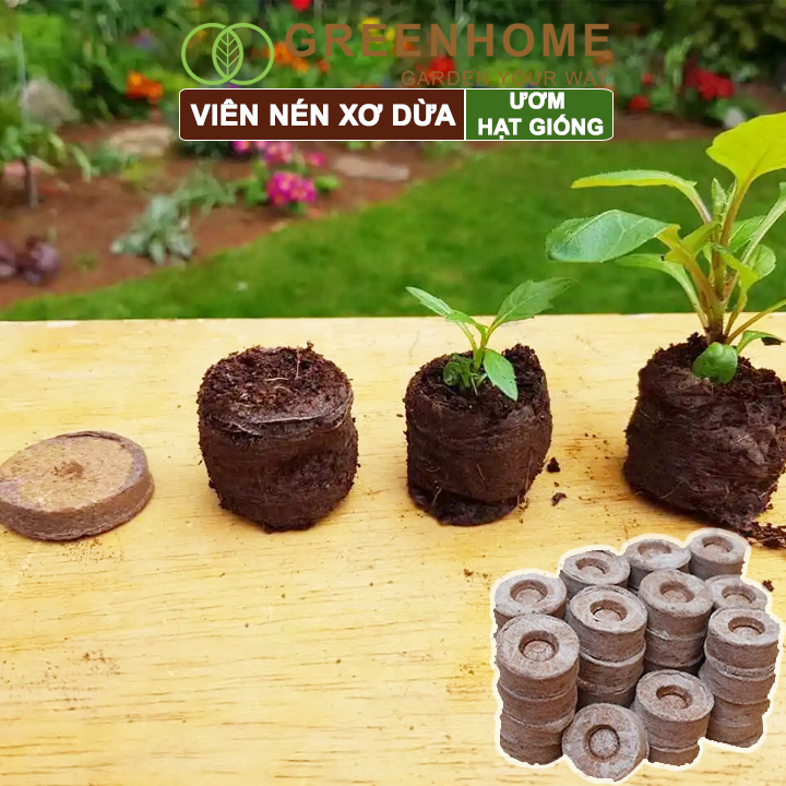 Viên nén xơ dừa, ươm hạt giống trồng cây, ươm hạt, ươm cây giống, trồng dâu tây, thuỷ canh |Greenhome