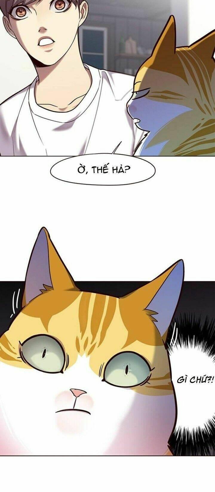 biến thân thành mèo chapter 105 17