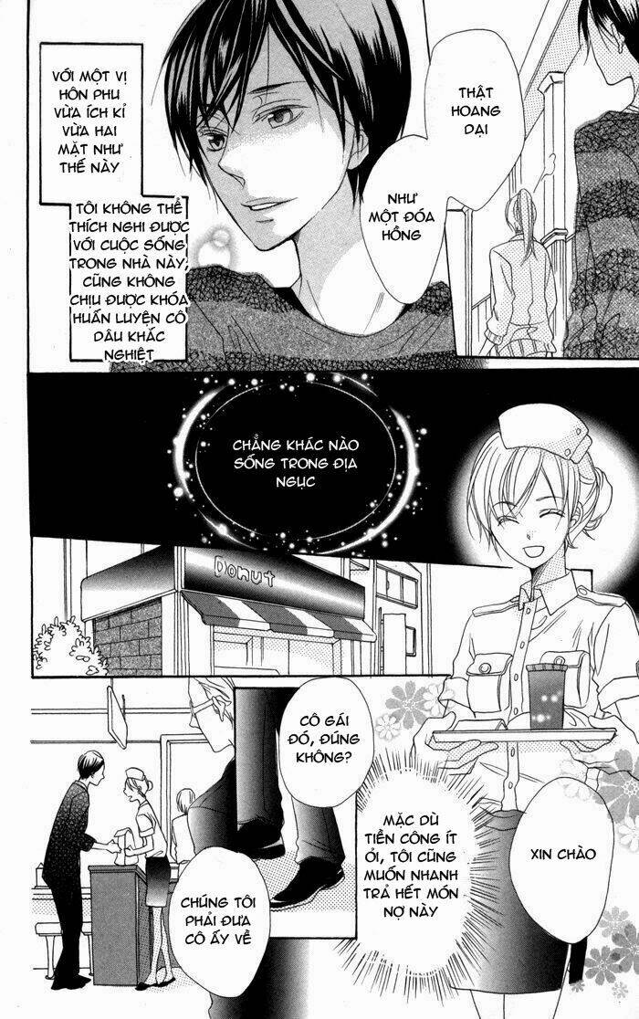 hoa hồng hoang dã chapter 2 11