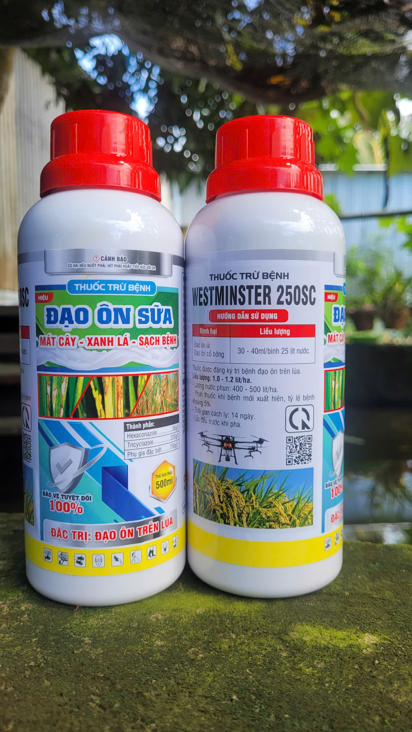 ĐẠO ÔN SỮA 250SC chai 500ml phòng trừ  bệnh đạo ôn lá, đạo ôn cổ bông trên lúa nếp
