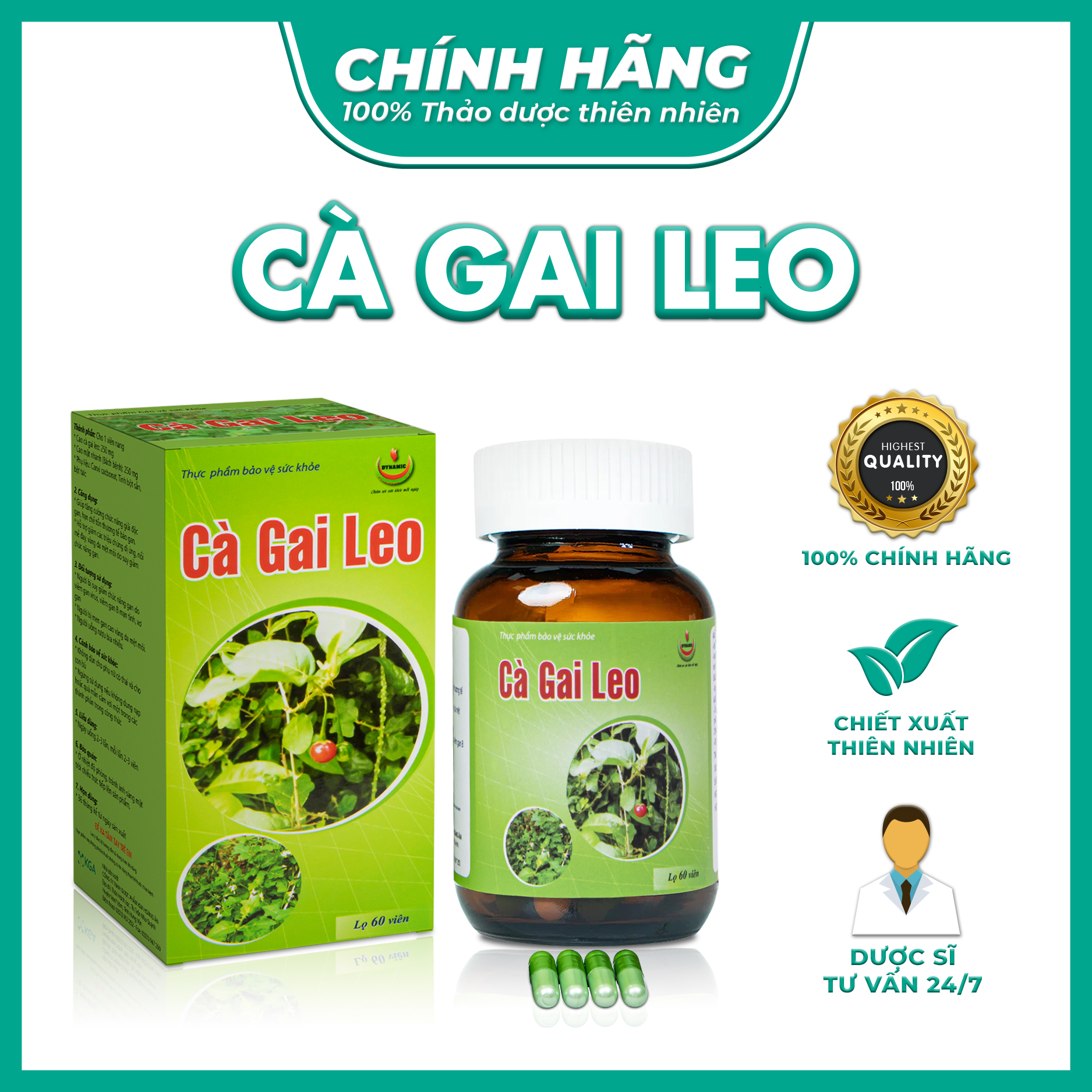 Cà gai leo - Năng Động - giải độc gan, giảm mề day, vàng da