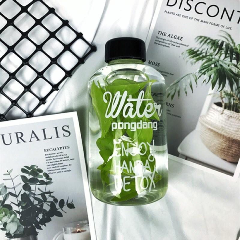 Bình pha nước detox thuỷ tinh 600ml