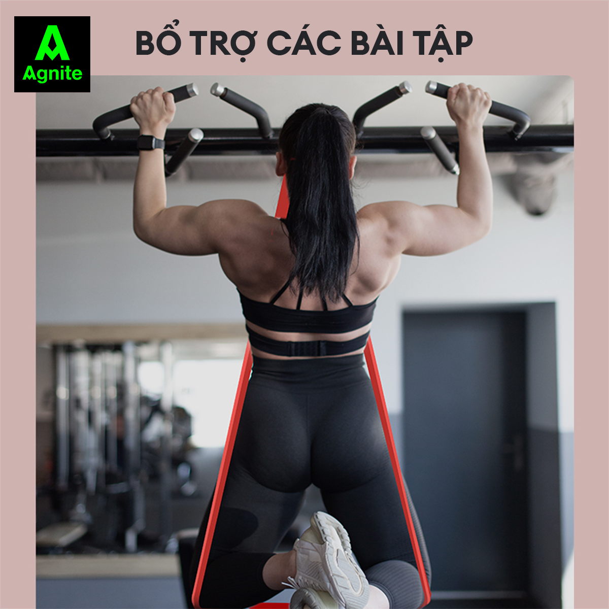 Dây kháng lực tập mông đùi chân và toàn thân Agnite chính hãng, dụng cụ hỗ trợ tập gym tại nhà - ER251-254