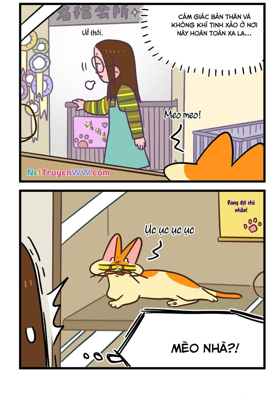 a mãn và mạch trà chapter 141.1 6