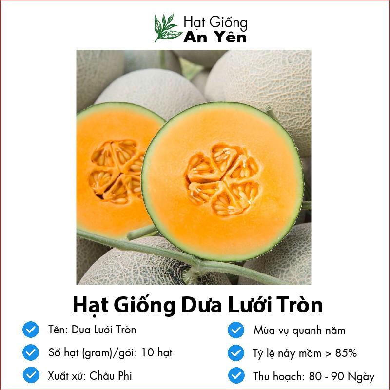 Hạt giống Dưa Lưới Vàng thu hoạch sớm, dễ trồng, nảy mầm cao, sinh trưởng khoẻ