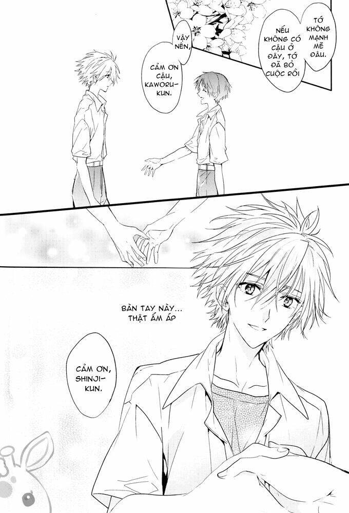 evangelion - mirai no tobira chapter 4 23