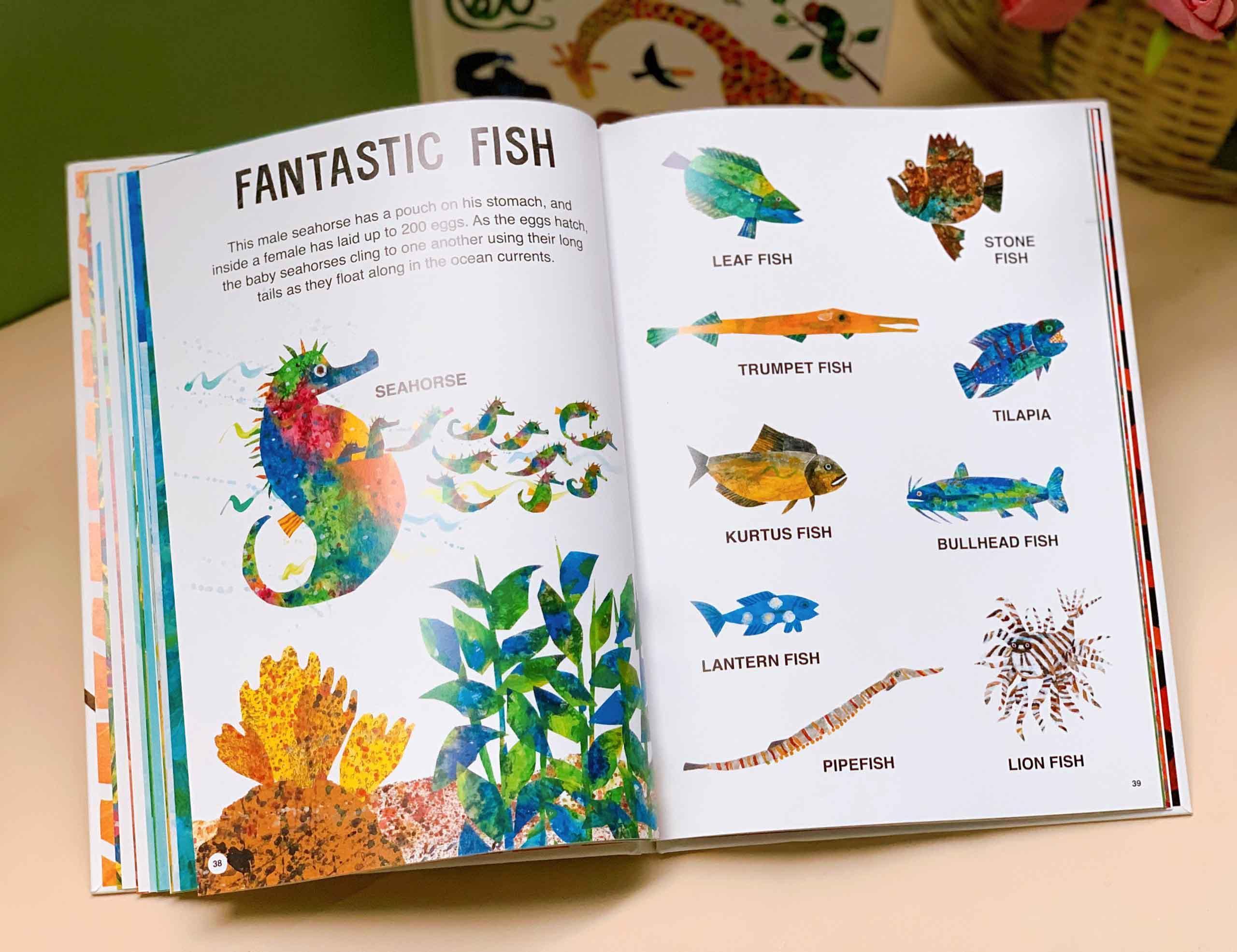 Eric Carle's Book of Amazing Animals