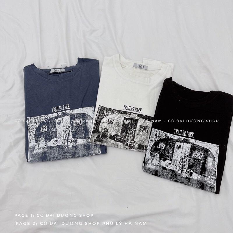 Áo pull tổng hợp