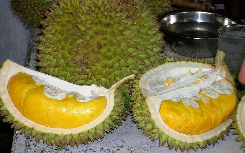 CÂY GIỐNG SẦU RIÊNG MUSANG KING [ CÂY GHÉP CHO QUẢ SỚM ].