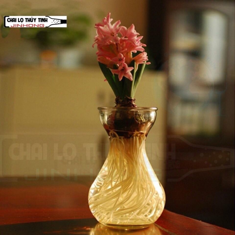 Combo hai bình bông thủy tinh trồng cây thủy canh quốc dân