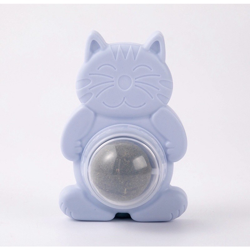 Cỏ bạc hà tươi dán tường cho mèo