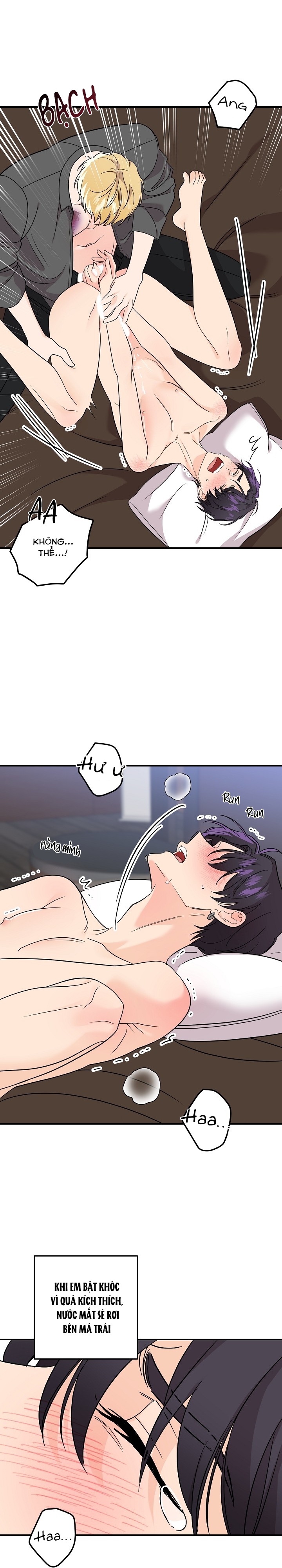 hoa ly hổ chapter 59 13