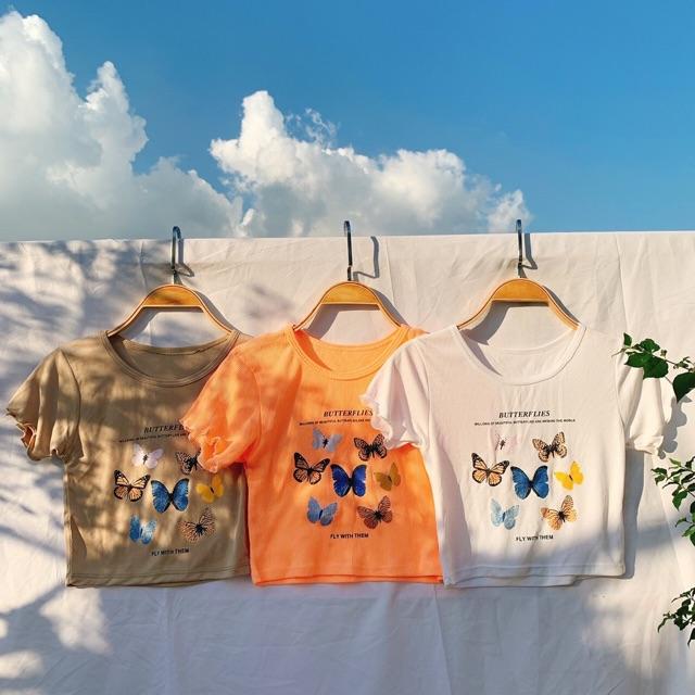 Áo croptop đàn bướm vintage