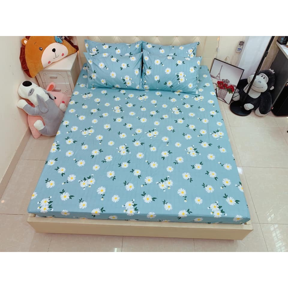 SÉT GA CHUN Và VỎ GỐI COTTON POLY 3D - HOA CÚC XANH