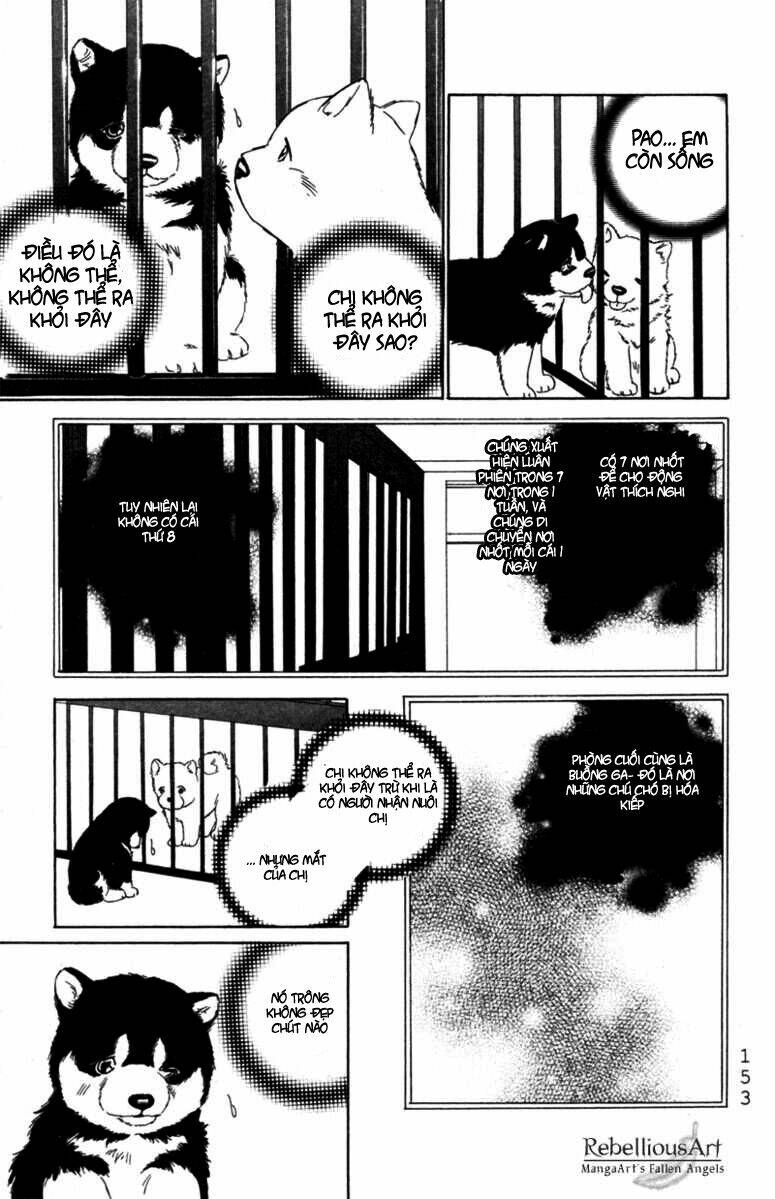 deep love - pao no monogatari chapter 5 14