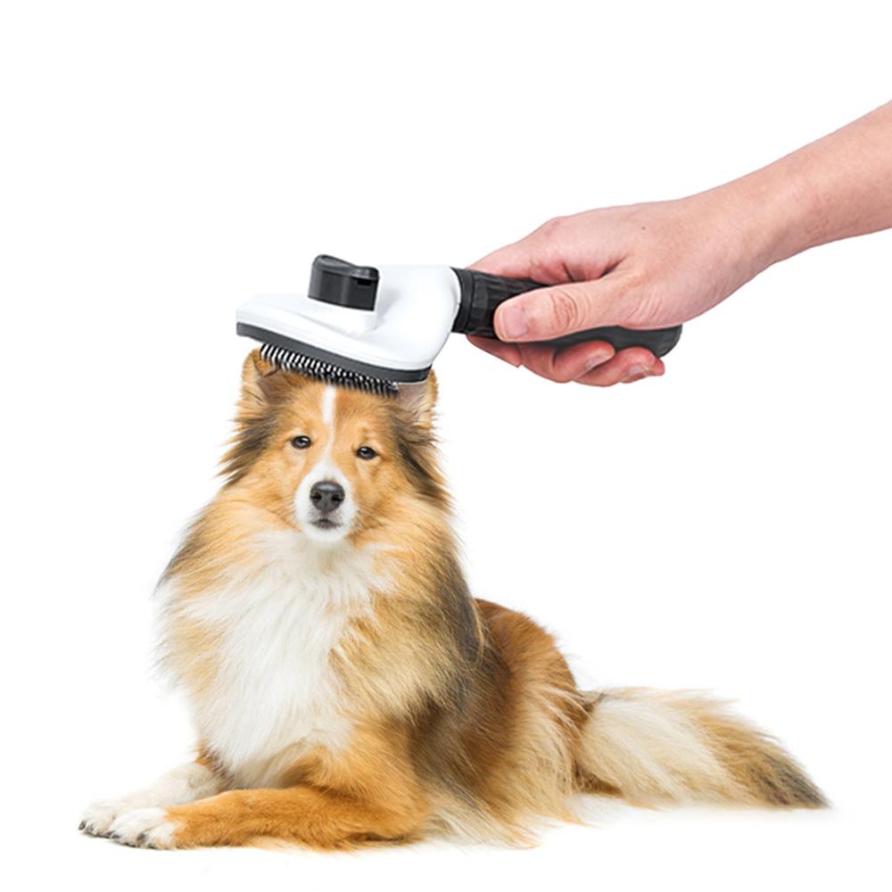 Bàn chải chải lông cho thú cưng