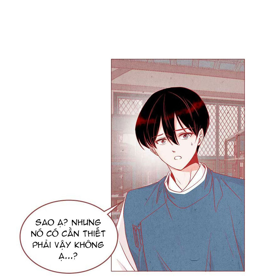 liệu rắn có ăn hoa chapter 1 71