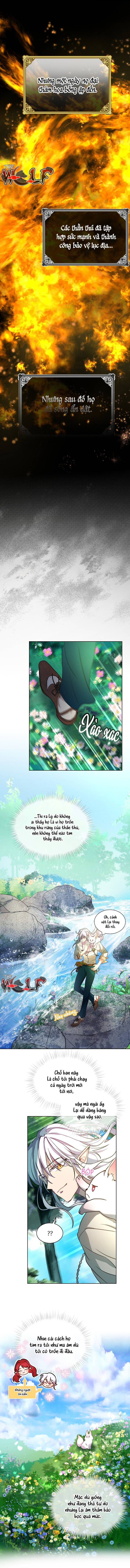 tái sinh thành bé thần thú nhỏ chapter 1 3