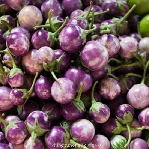 Hạt Giống Cà Pháo Tím F1 Cao Sản CT266 - Gói 0.5gram