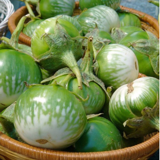 Hạt Giống Cà Dĩa Vali Năng Suất Cao - gói 0.5gr