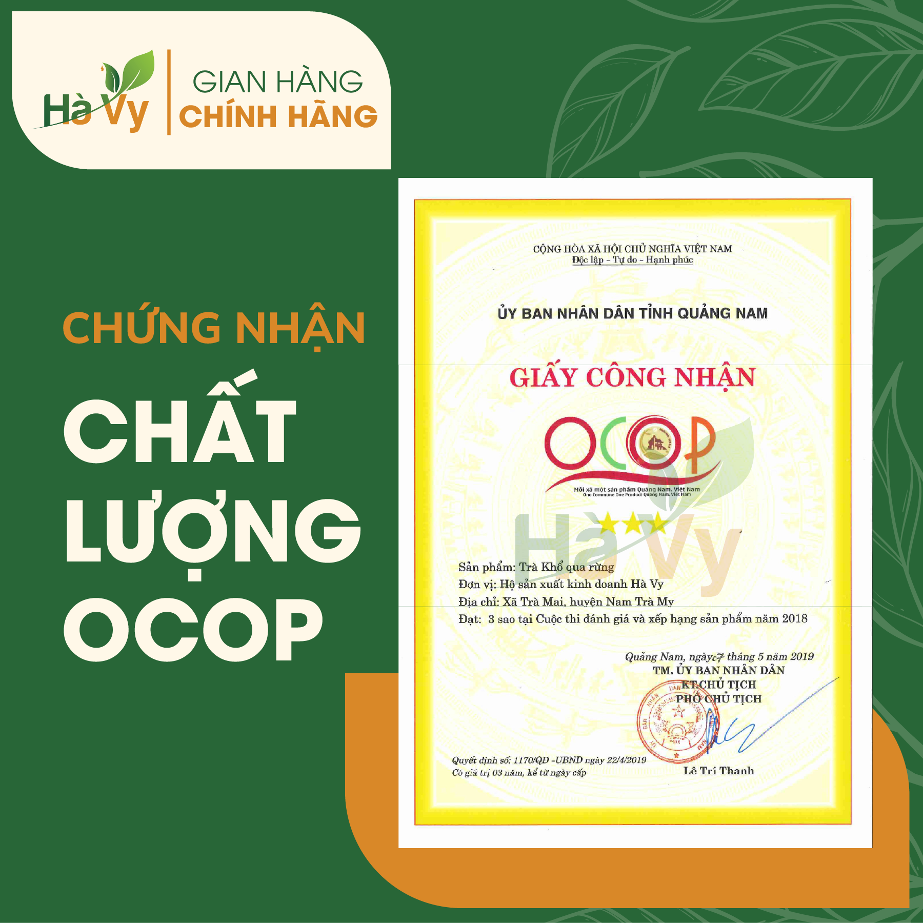 Combo Trà Giảo Cổ Lam &amp; Trà Khổ Qua Rừng Nam Trà My Hà Vy hỗ trợ giảm cân, cải thiện chứng mất ngủ hiệu quả (set 2 hộp trà túi lọc)