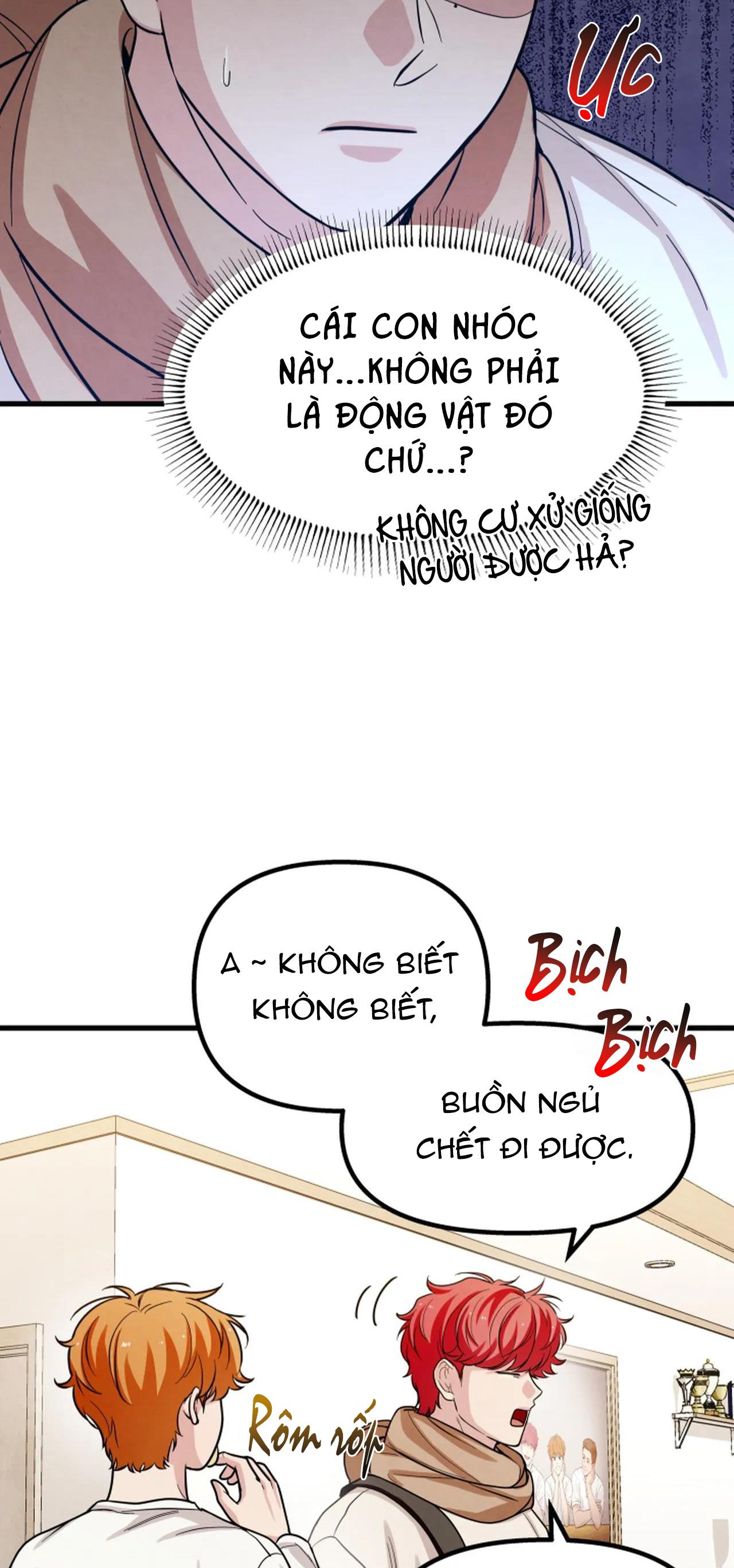 (np)những ngày mù sương chapter 12 35