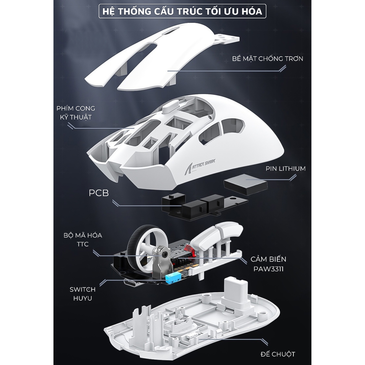 Chuột Không Dây Bluetooth Chip PAW3311 Vinetteam Attack Shark R1 18000DPI 3 Mode Có App Chỉnh Macro Pin Sạc - hàng chính hãng