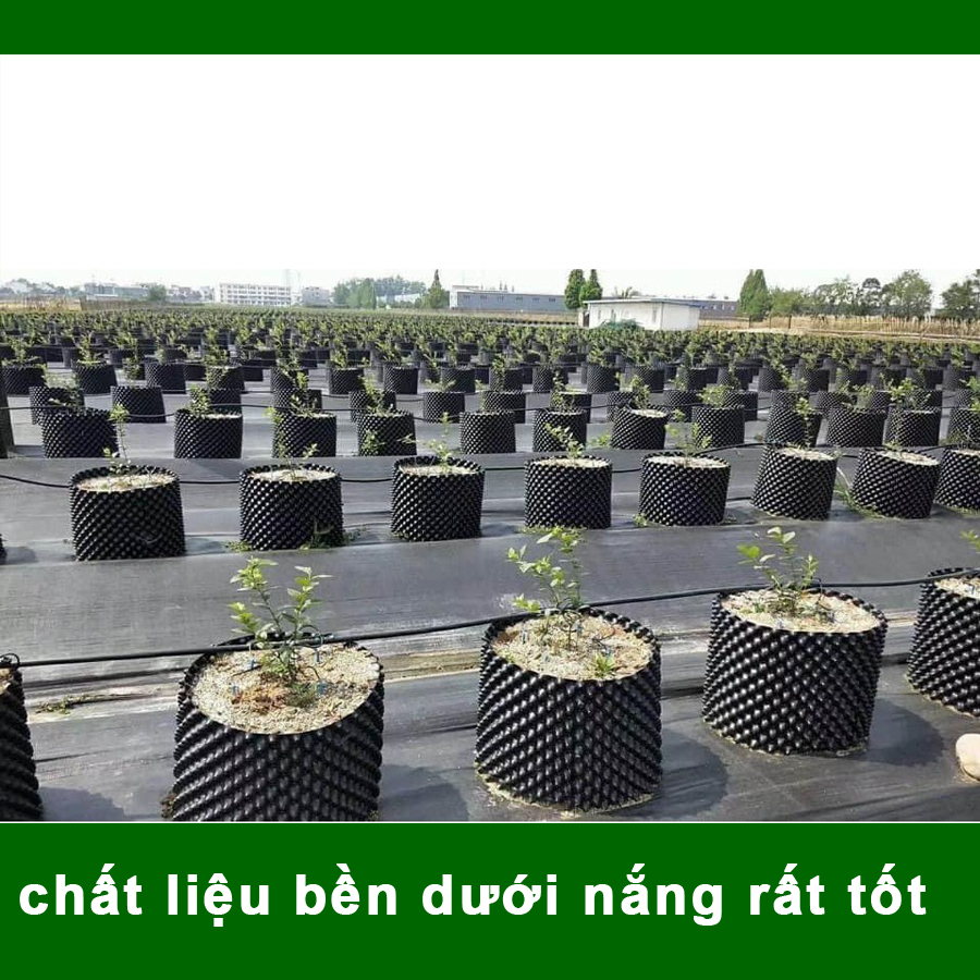 25 MÉT Bầu ươm cây V6 CAO 30CM dày 6mm, cắt theo mét dài khách đặt, tặng ốc vít-77900