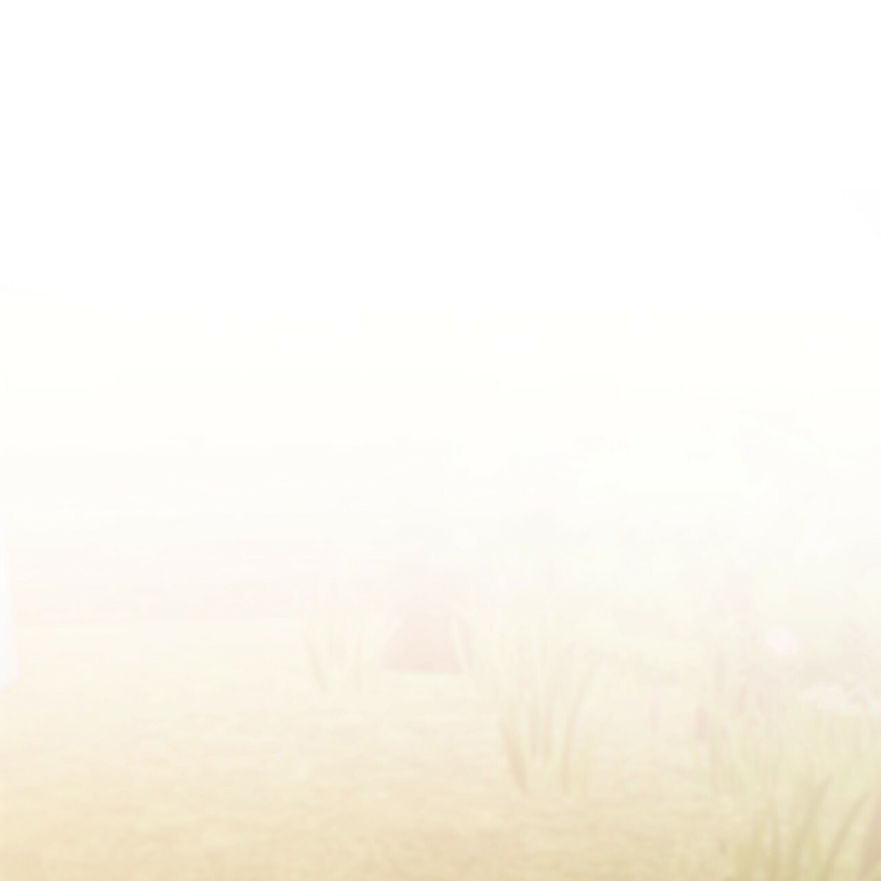 những chú thỏ của hapypy chapter 10 100