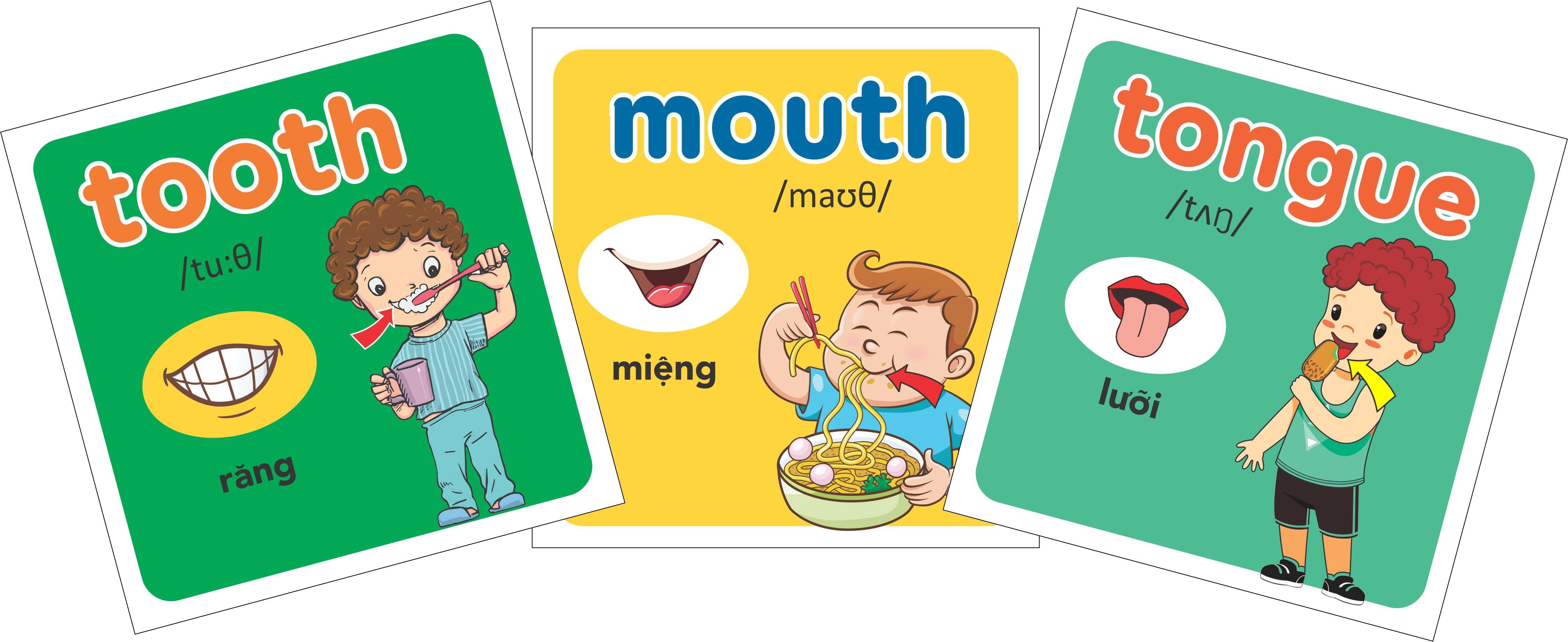 Thư viện hình ảnh đầu tiên cho bé  - Cơ thể