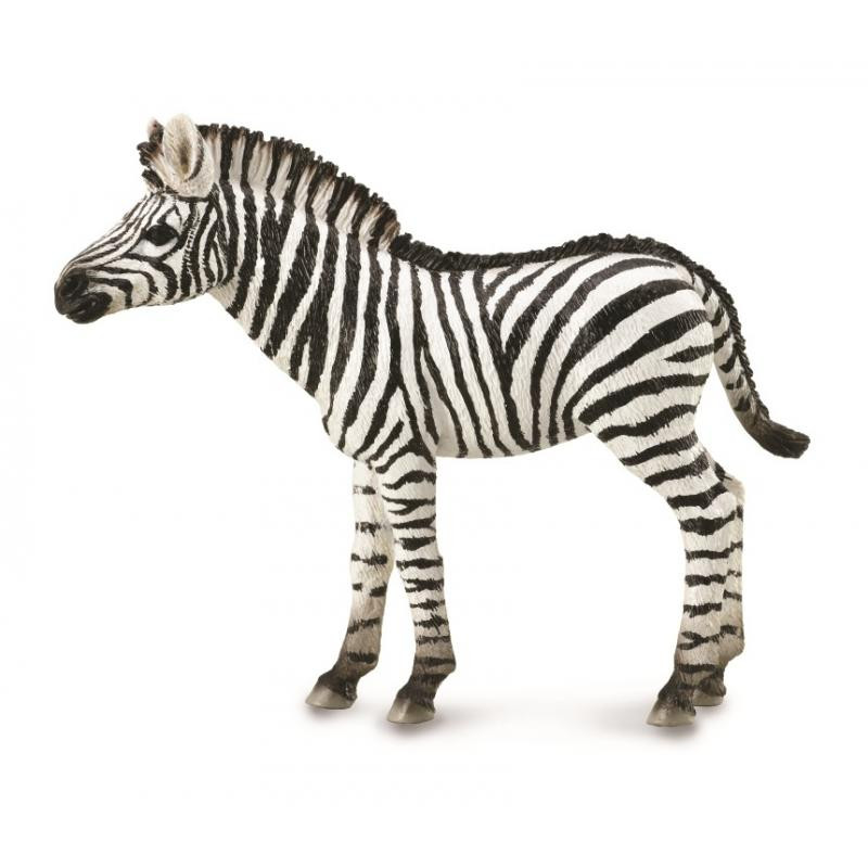 Mô hình thu nhỏ: Ngựa Vằn con - Zebra Foal , hiệu: CollectA, mã HS 9651071 - Chất liệu an toàn cho trẻ - Hàng chính hãng
