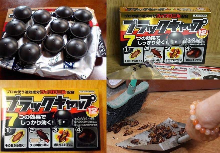 Combo 02 hộp viên diệt gián nhanh chóng hàng nội địa Nhật Bản