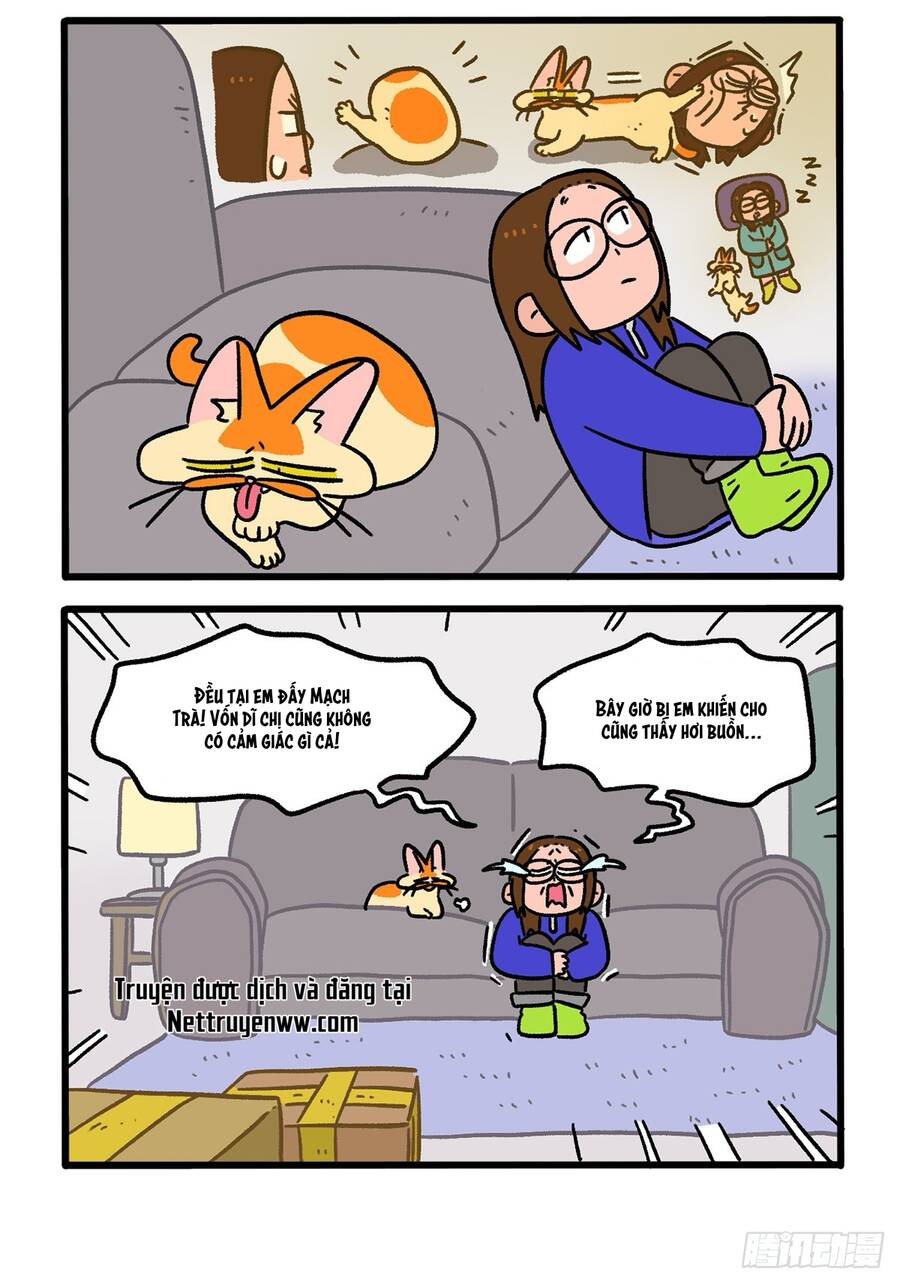 a mãn và mạch trà chapter 138.1 4