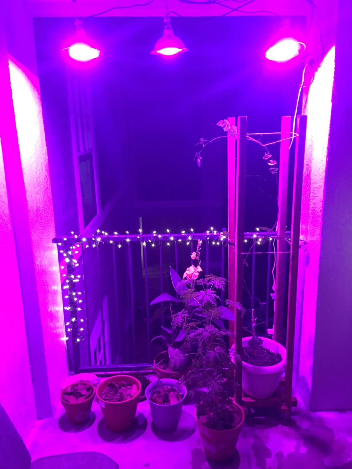 Đèn Led chống nước trồng cây trong nhà Terino D38FS (300W, Full Spectrum, đèn toàn dải quang phổ) - Hàng chính hãng
